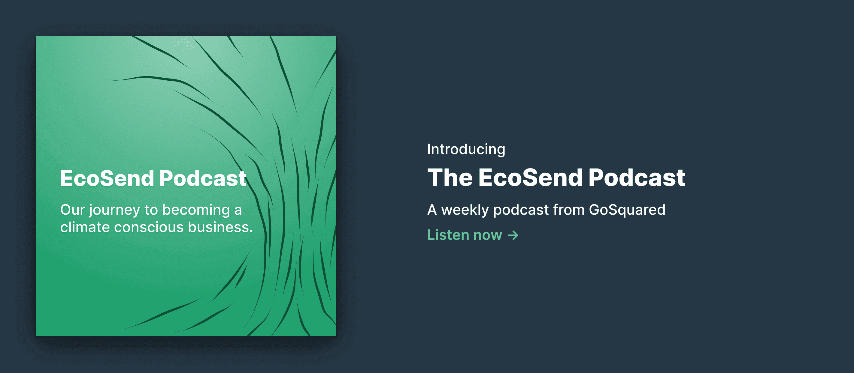 The EcoSend Podcast