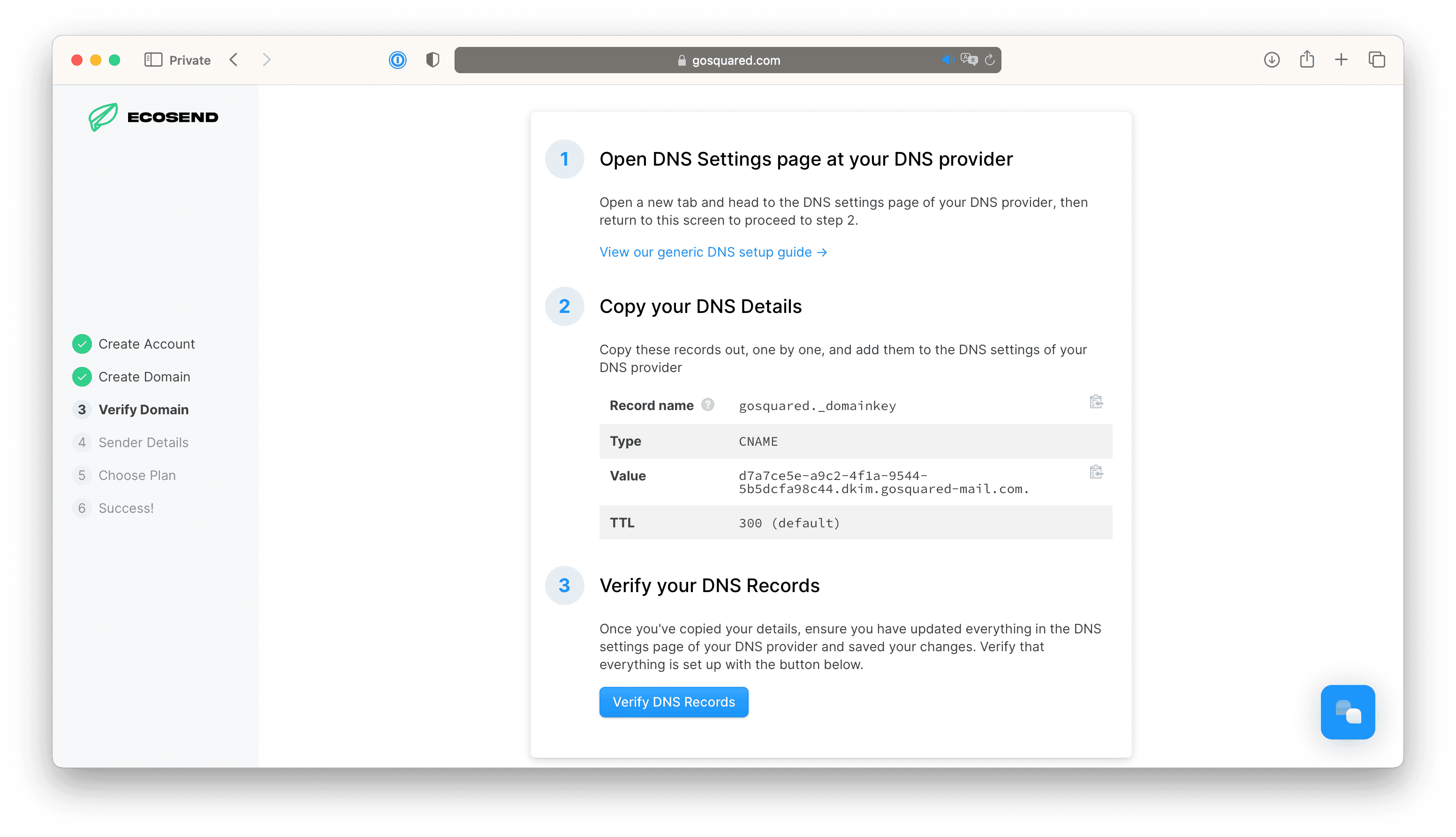 Another screenshot of the Verify your Domain process in EcoSend