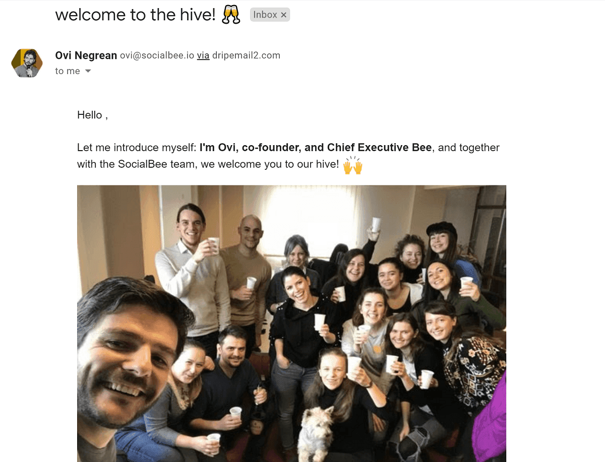 social bee email campaign