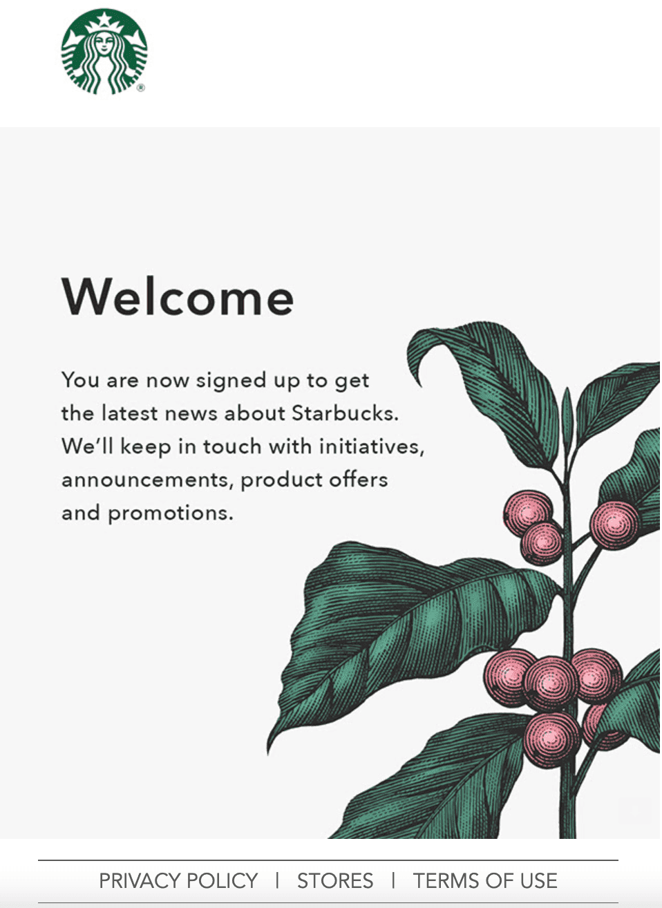 starbucks emails to welcome new customers
