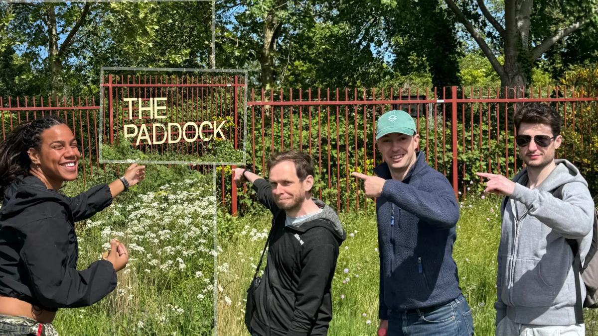 A photo collage of our volunteering day at The Paddock in north London