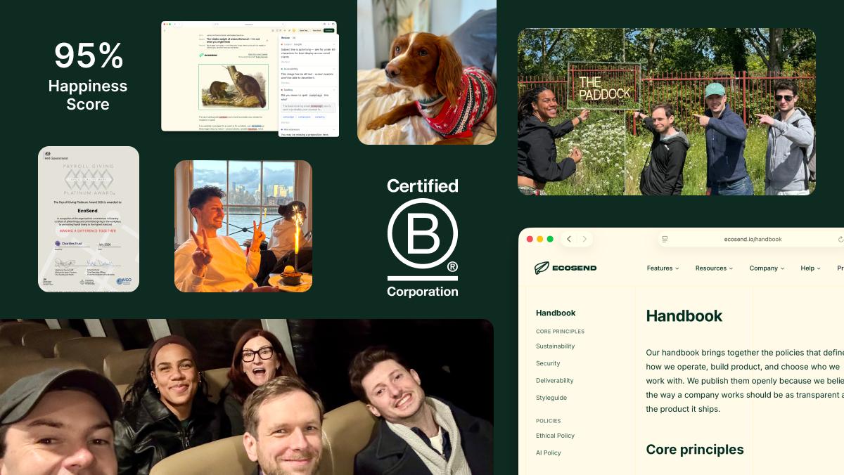 Our B Corp Impact Report for 2025-26