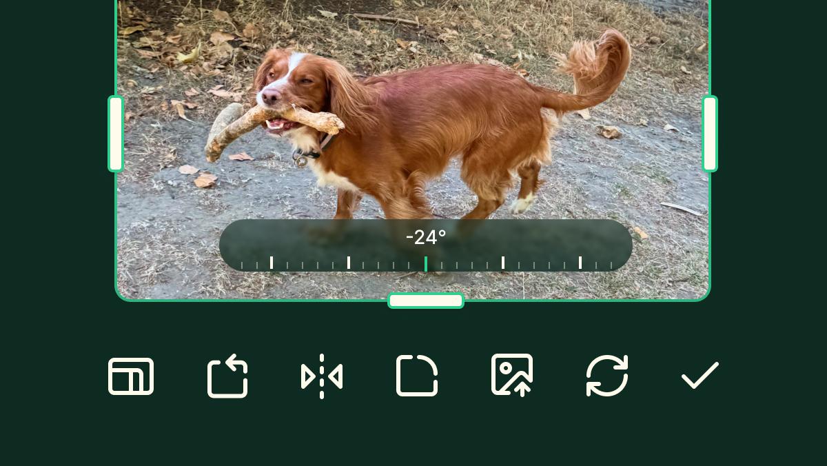 Inline image editing