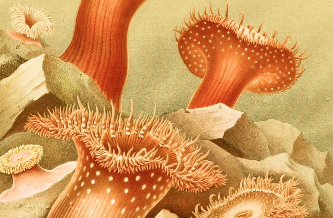 How The Odyssey could inspire your next campaign