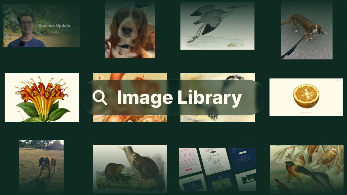 Image Library