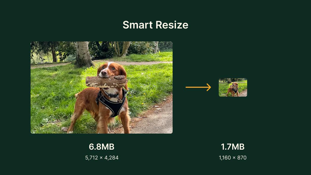 Smart resize of an image from over 5,000 pixels wide to just over 1,000 pixels wide