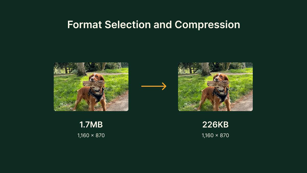 Format selection and compression to reduce an image file size from 1.7MB to 226KB