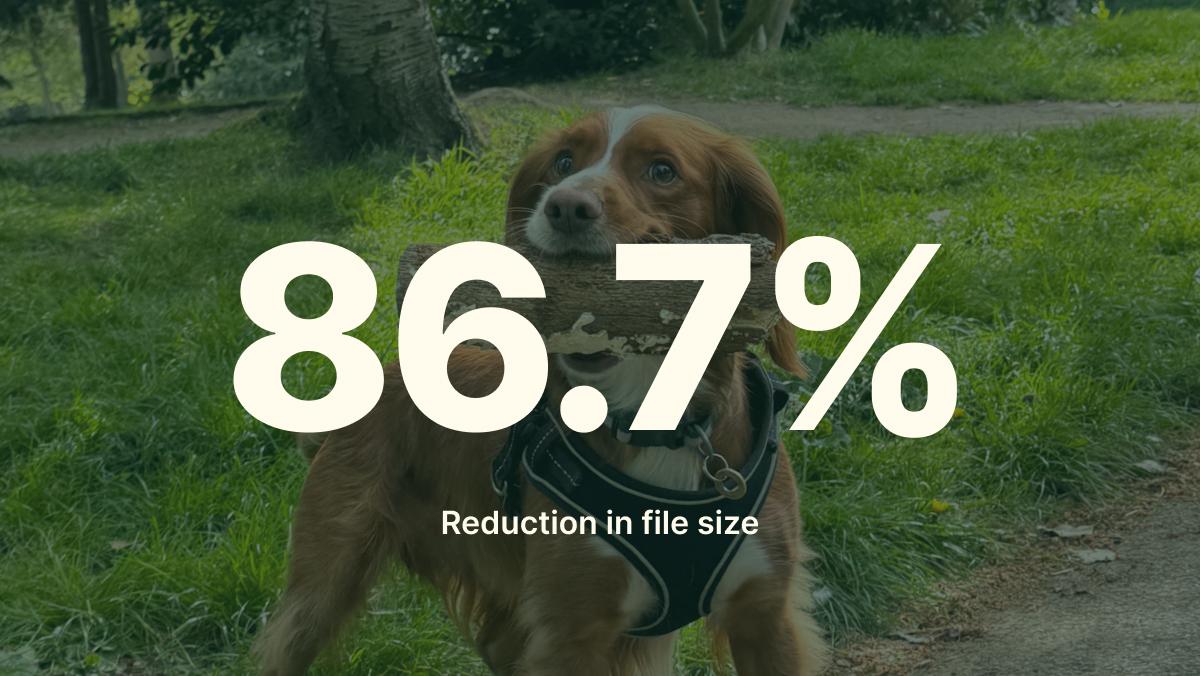 86.7% reduction in file size with EcoSend image optimisation