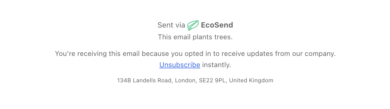 Screenshot of the Footer block in the EcoSend Email Builder