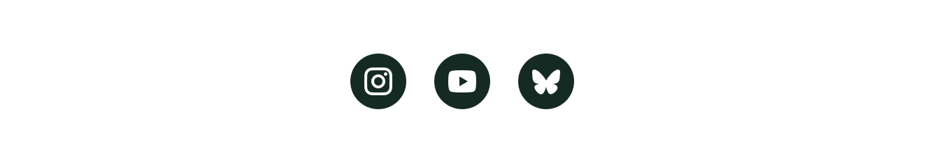 Screenshot of the Social icons block in the EcoSend Email Builder