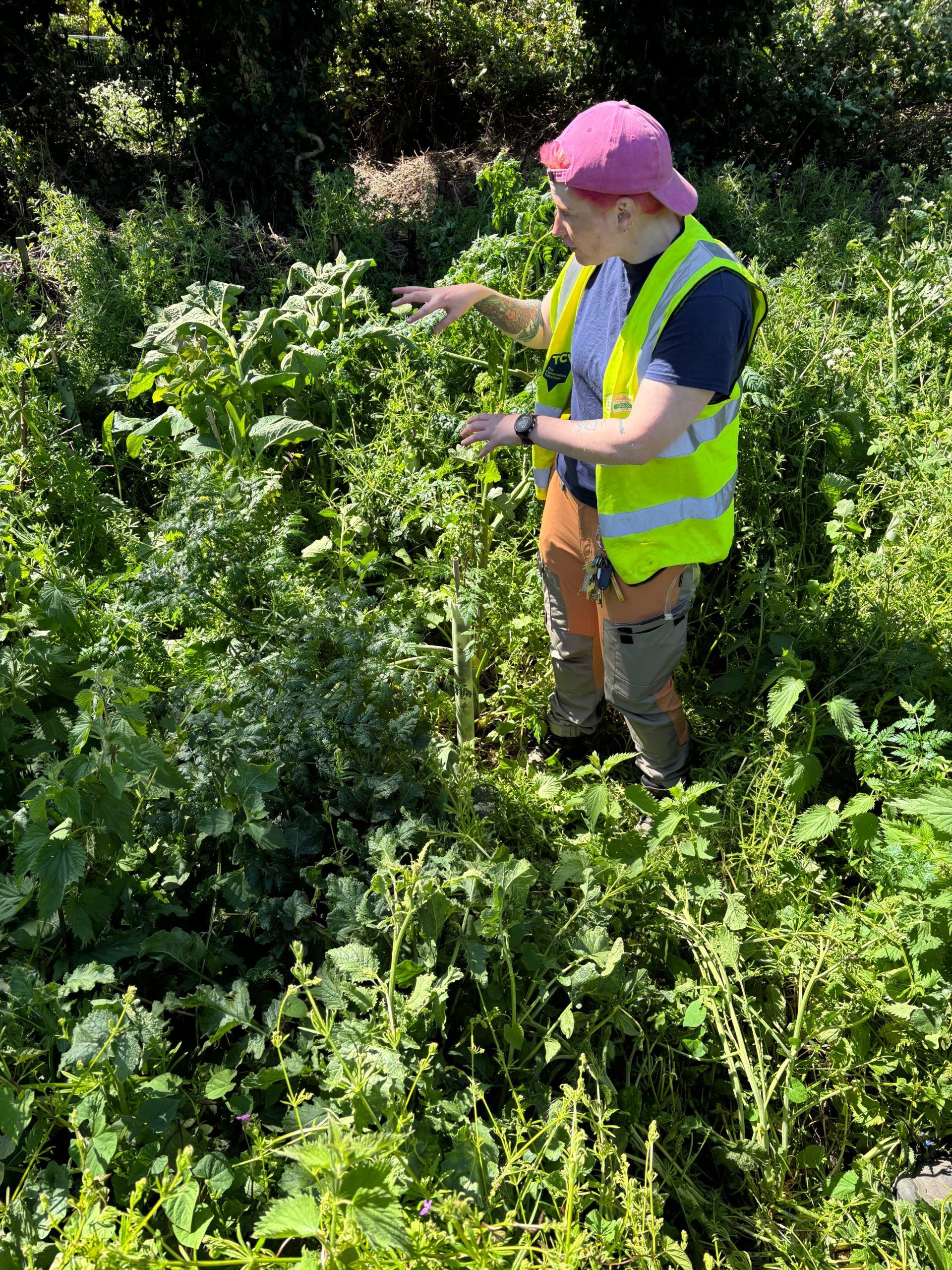 Our guide Izzy informing us how to remove the pesky weeds