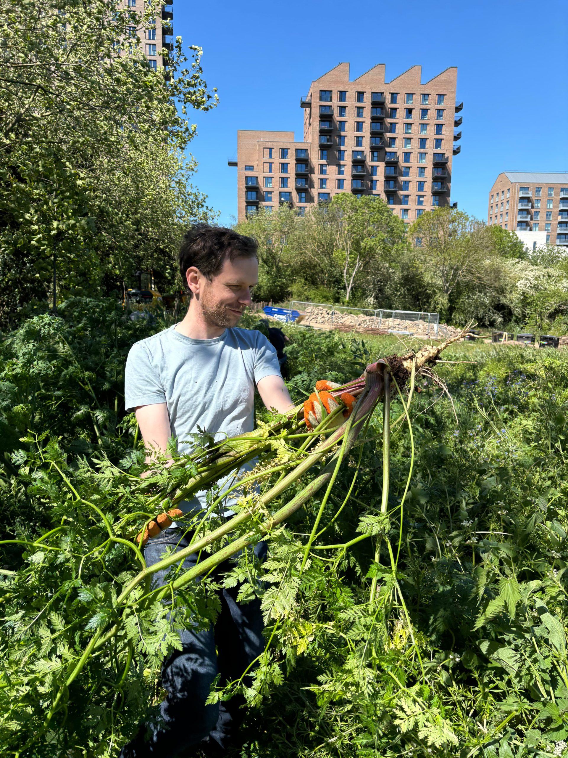 JT carries dead weeds