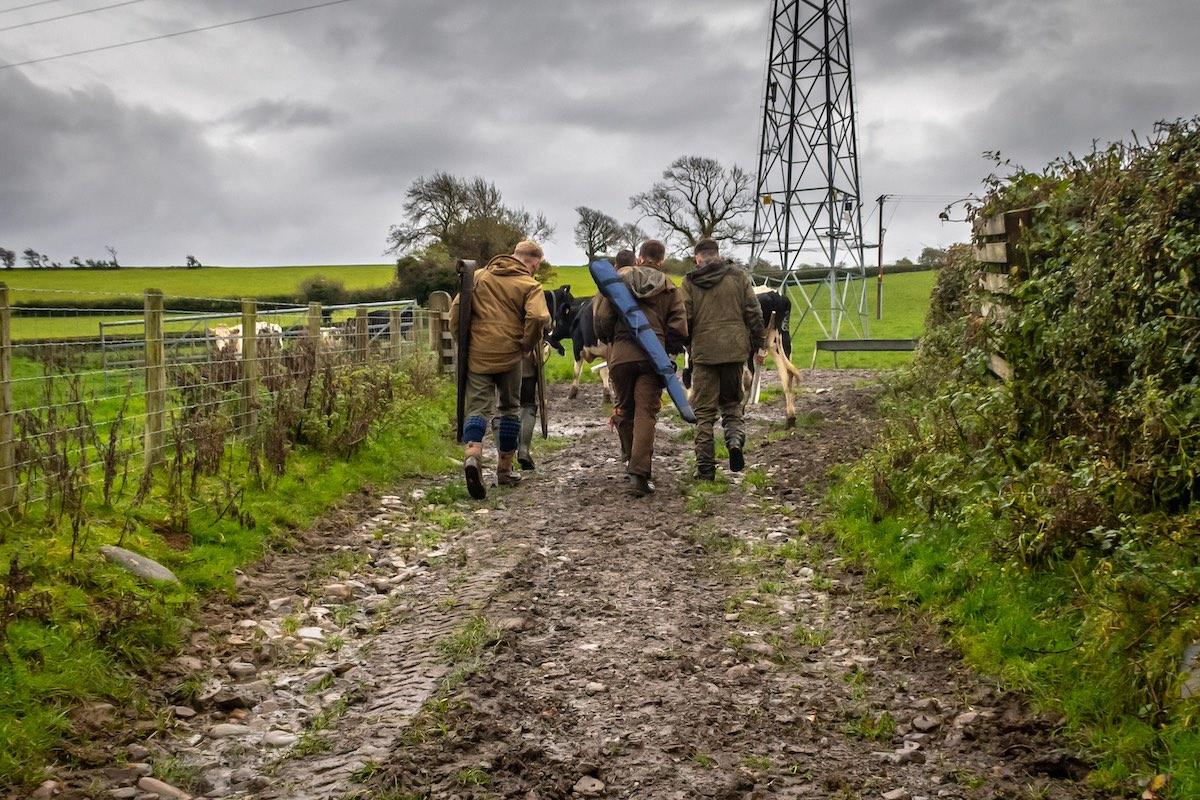 conservation jobs uk