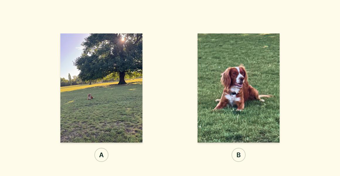 Side-by-side of the wide shot and the tight crop of Hugo