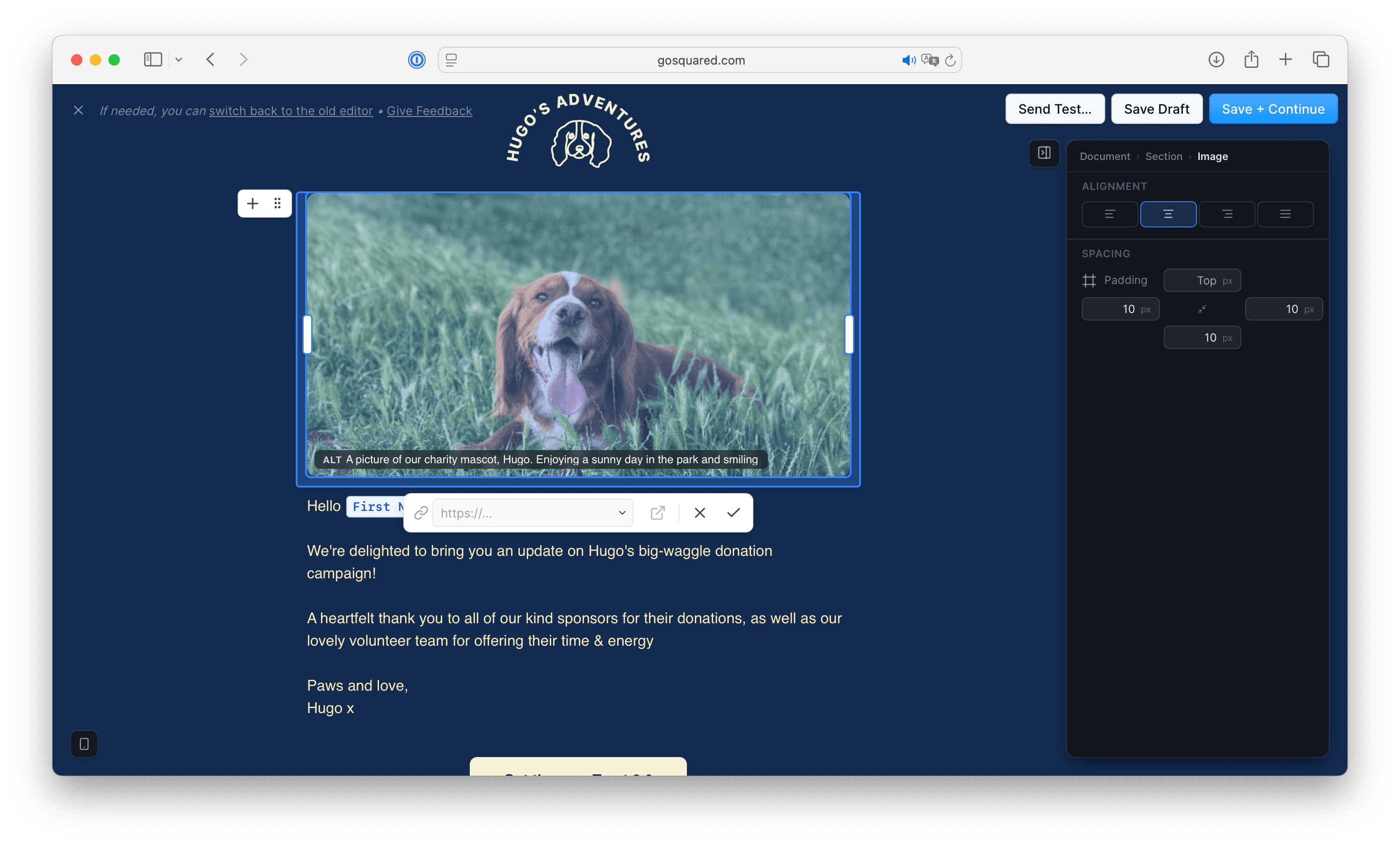 Picture of alt text in an image in an EcoSend email